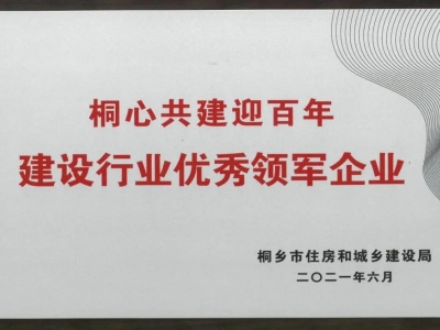 建設(shè)行業(yè)優(yōu)秀領(lǐng)軍企業(yè)